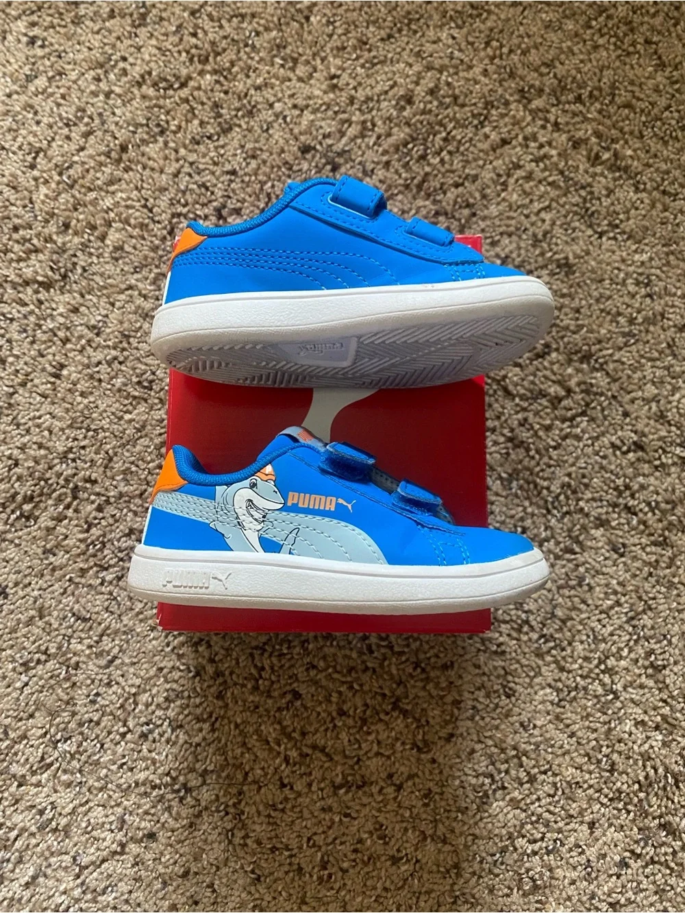 6C Shoes